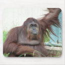 Search for lemur mousepads Monkey