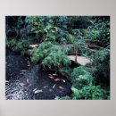 Search for reserves art Nature
