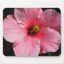 Search for pink hibiscus mousepads Flowers