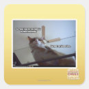 Search for paste stickers I can has cheezburger