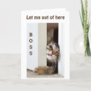 Search for boss birthday cards Co worker