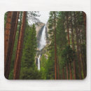 Search for high sierras electronics California
