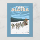 Search for yukon postcards Dog