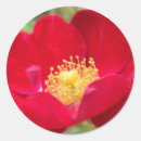 Search for passion flower stickers Petals