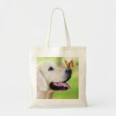 Search for butterfly dog bags Labrador