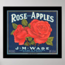 Search for vintage rose posters Fruit