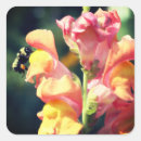 Search for snapdragon stickers Flower