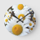 Search for daisy clocks Wildflower