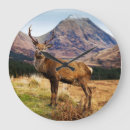 Search for stag clocks Animal