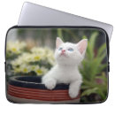 Search for laptop 13 inch electronics Cat