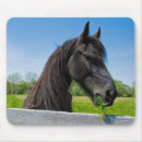 Search for friesian electronics Black