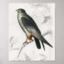 Search for foot art Bird
