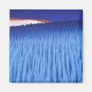 Search for regione magnets Blue