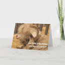 Search for funny sheep birthday cards Pun