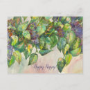 Search for aromas postcards Flowers