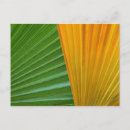 Search for botany postcards Leaves