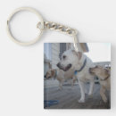 Search for kissed key rings Dog