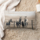 Search for barb cushions Farm