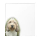 Search for dog breed photography Cute