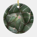 Search for succulents christmas tree decorations Nature