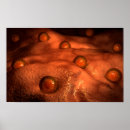 Search for sexual posters Horizontal