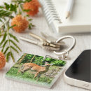 Search for white tail key rings White tailed deer