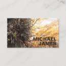 Search for autumn leaves business cards Fall