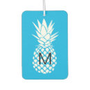 Search for pineapple car air fresheners Tropical