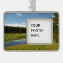 Search for swan lake christmas tree decorations Nature