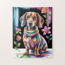 Search for dachshund puzzles Colorful