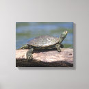 Search for sunny day art Wildlife