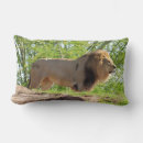 Search for lion king cushions Cat