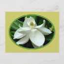 Search for two trees postcards Flowers