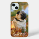 Search for cute pug cases Animals