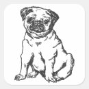 Search for black pugs stickers Pug dog