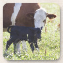 Search for outdoor coasters Agriculture