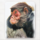 Search for cute monkey mousepads Monkeys