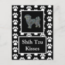 Search for shih tzu lover postcards Cute