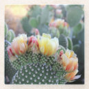 Search for yellow flower coasters Photography