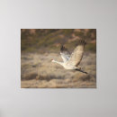 Search for nwr canvas prints Wildlife