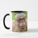 Search for chimpanzee mugs Apes