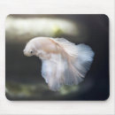 Search for betta mousepads Siamese