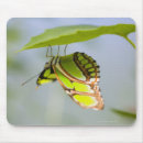 Search for green leaf mousepads Outdoors