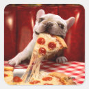 Search for eat pizza stickers Funny
