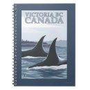 Search for orca notebooks Whales