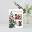 Search for tree photo postcards Merry and bright