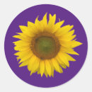 Search for country sunflowers stickers Trendy