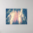 Search for sequoia art Nature
