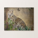 Search for butterfly puzzles Wildlife