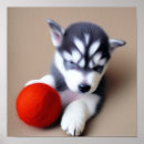Search for cute puppy posters Dogs